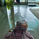 소룡농장 이미지