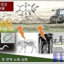 장기농산물