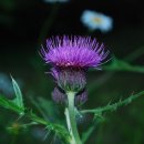 정원식당 앞 이미지