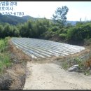 신안면 신안리 - 39 | 신안면 신안리