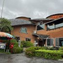 시인과촌장 | 아산 애견동반 식당 카페 시인과촌장 내돈내산