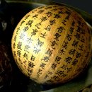 호사유피 이미지