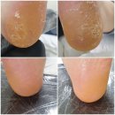 레푸스 앤 두두네일 이미지