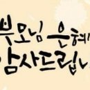 사랑하는 태권도 이미지