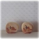 선배네농장 이미지