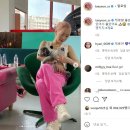 지호디자인 이미지