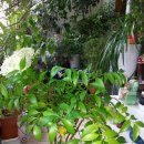 죽백6로 이미지