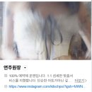 샘나뷰티
