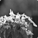 자연과사람 이미지