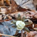 섬이야기민박 이미지