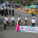 11월1일 제38회 군민의 날 (아리랑축제)면단위 선수입장식 장면. 이미지