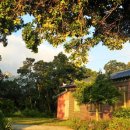 근수농장 이미지