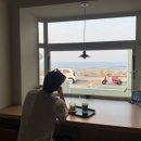 커피해요 이미지