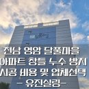 영암유진 이미지