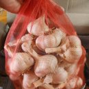 솔농장 | 국산마늘 추천 김장마늘 솔꿈농장마늘에서 구입했어요