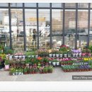 금호농약사 이미지