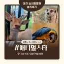GS25 대흥스타점 | 대전 아이랑 실내동물원 애니멀스타 내돈내산 솔직후기