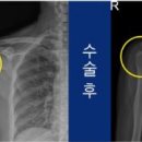 365하하병원 이미지