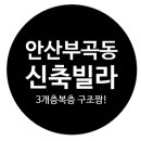 신대한공인중개사사무소 이미지