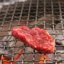 불미골오리 이미지