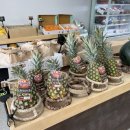 만월청과 이미지