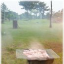 왕꼼장어 이미지