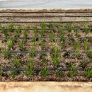 흥림농장 이미지