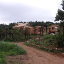 풀내음힐링캠프 이미지