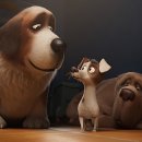 프린스펫 이미지