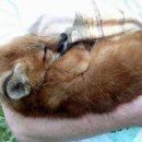 순수농장 이미지