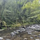 천도로 | 대만 타이베이 버스 일일투어 스딩 천도호 후기