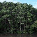 온맘한의원 이미지