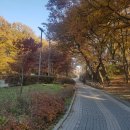 모담공원 이미지