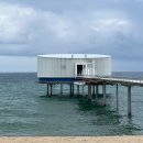 컬러인제주 휴양펜션 | [강릉] 네 모녀의 가을 강릉