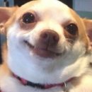 놂