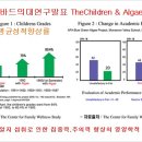 스펀지 이미지