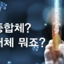 하임약품 이미지
