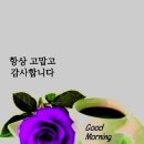 '풀꽃' 詩人의 인생~ 이미지