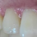 배곧건치과의원 이미지