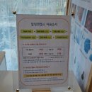 힐링엔젤스 영대점