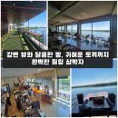 박진 | 오성강변의 대반전 뷰맛집! 귀여운 토끼와 빵이 가득한 '카페 아카이브' 솔직 후기 🐰
