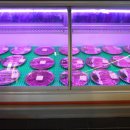 바름식당 이미지