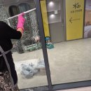 크린샵 | 반짝이는 공간으로 변신한 다인크린 덕분에 성공적으로 마친 아인에비뉴피부샵 오픈 준비 후기 :)!!