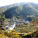 하늘나리농촌체험마을 이미지