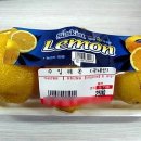 어디에서 왔니 이미지