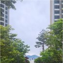 대방탑부동산공인중개사사무소 이미지