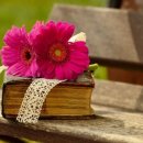 위캔 행정사 사무소 이미지