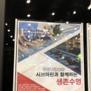 서브마린 수영장 이미지