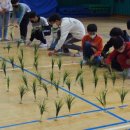 인평초등학교 이미지