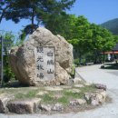 송단목장 Daum카페